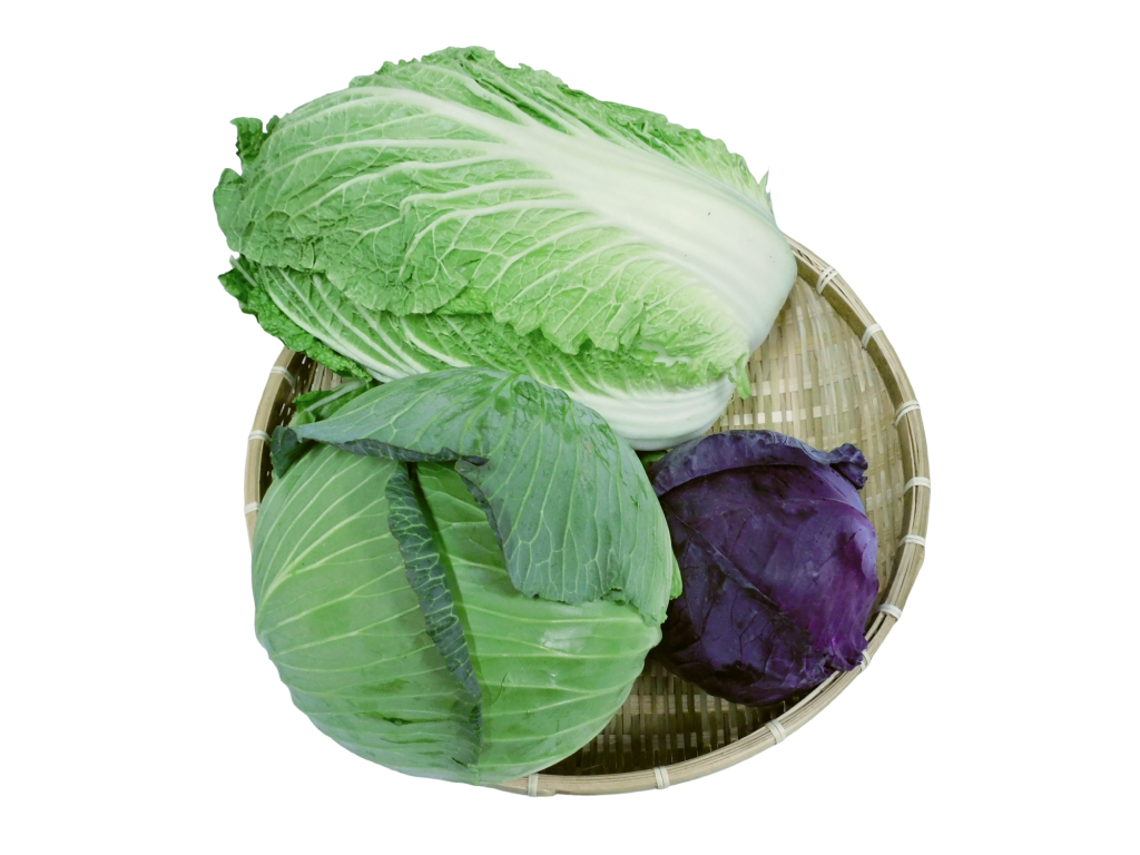 葉茎菜類